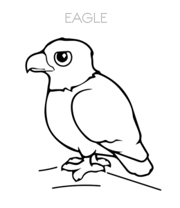 Baby Eagle coloring picture  for kids