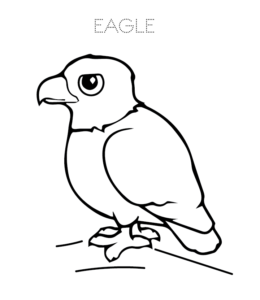 Eagle Coloring Pages Playing Learning