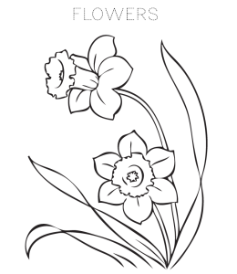 FlowerColoring Page 3 for kids
