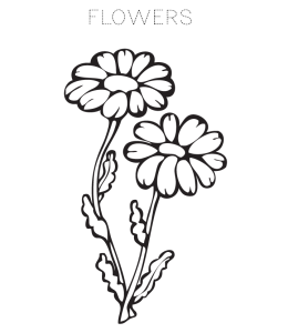 FlowerColoring Page 6 for kids