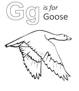 G is for Goose coloring page for kids
