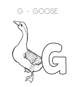 Alphabet Coloring Page - G is for Goose  for kids