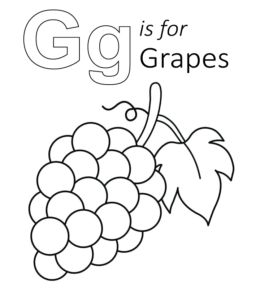 G is for Grapes coloring page for kids