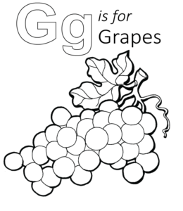 G is for Grapes coloring page for kids