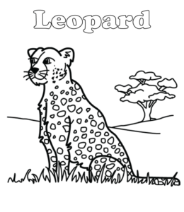 Leopard coloring page  for kids
