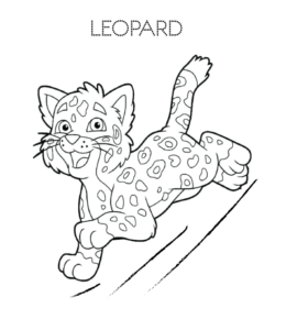 Leopard cub coloring page  for kids