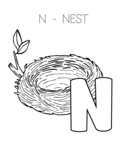 Alphabet Coloring Page - N is for Nest  for kids