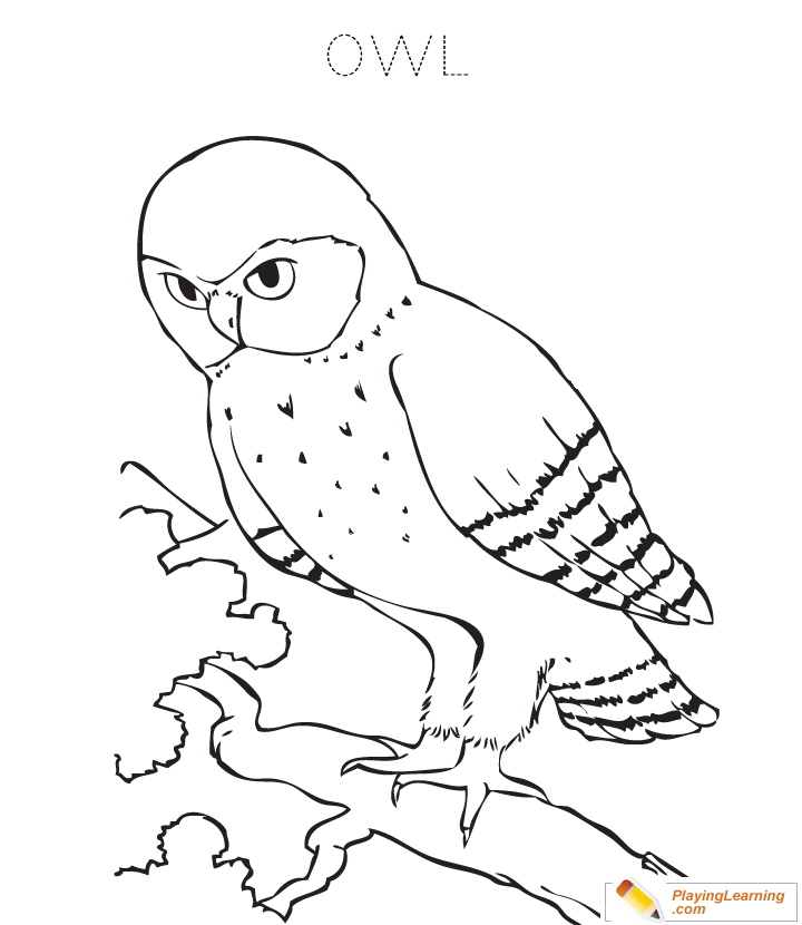 Owl Coloring Page  for kids