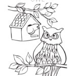 Owl coloring sheet