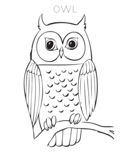 Cute Owl Coloring Sheet for kids