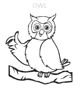Smart Owl Coloring Page for kids
