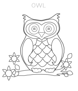 Big-Eye Owl Coloring Sheet for kids