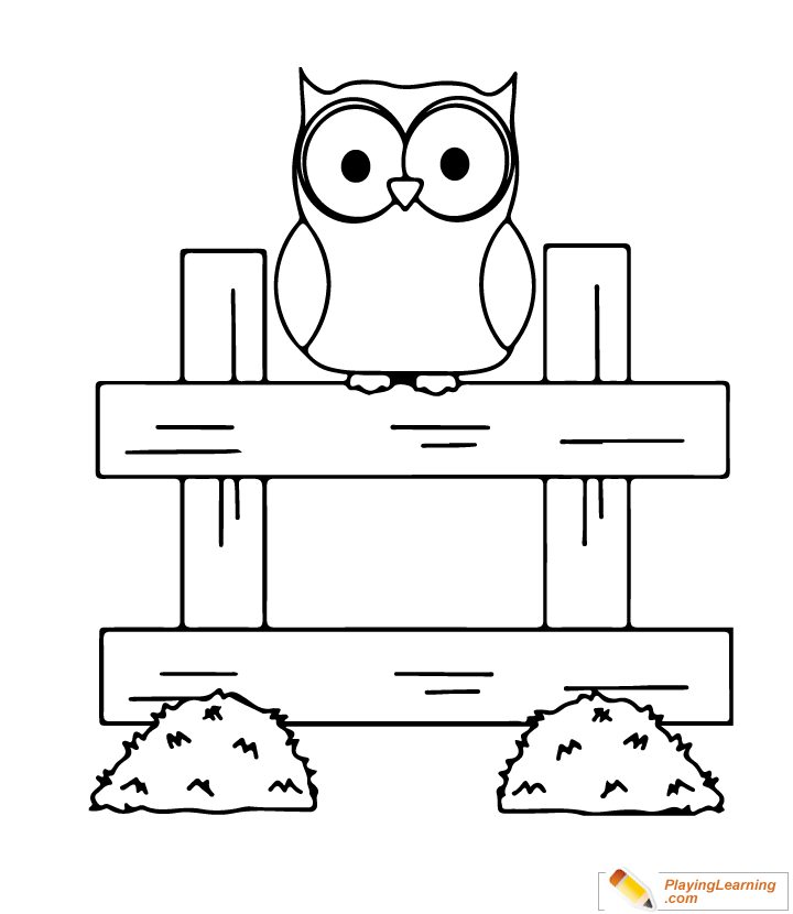 Owl Coloring Page  for kids