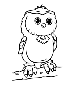 Baby Owl Coloring Image for kids