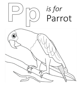 P is for Parrot Printable  for kids