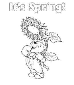 Pool Bear and Spring Coloring Page   for kids