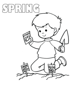 Boy Planting Seeds in Spring Coloring Printable   for kids