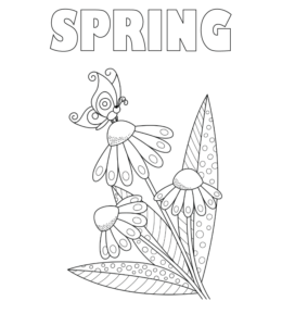 Spring Flowers Coloring Page   for kids