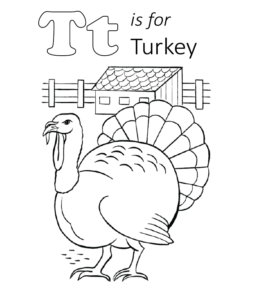 T is for Turkey coloring page for kids