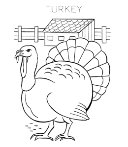 Thanksgiving Turkey Coloring Page 2 for kids