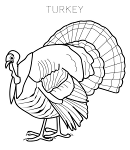 Thanksgiving Turkey Coloring Page 3 for kids